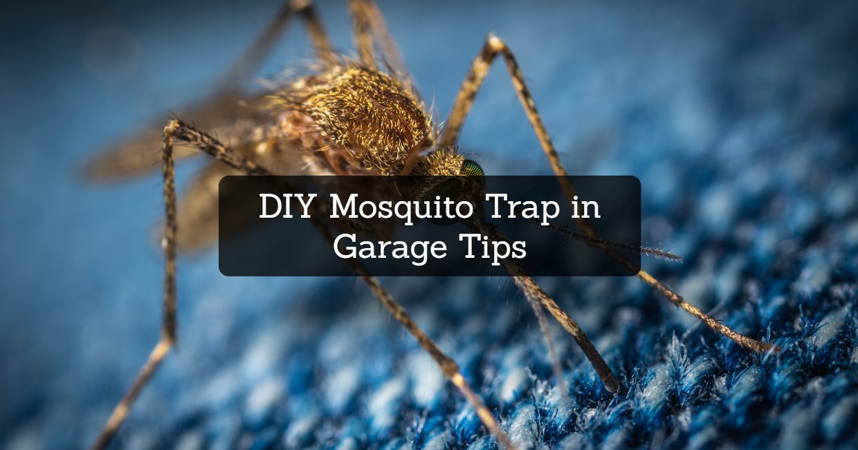 DIY Mosquito Trap in Garage Tips