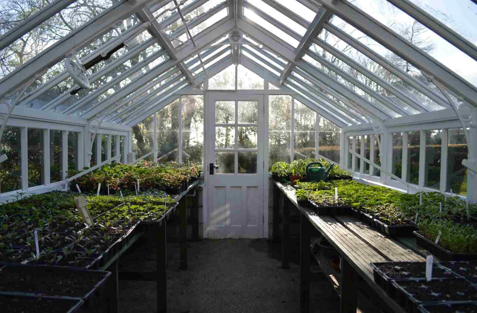 Indoor Garden and Greenhouse