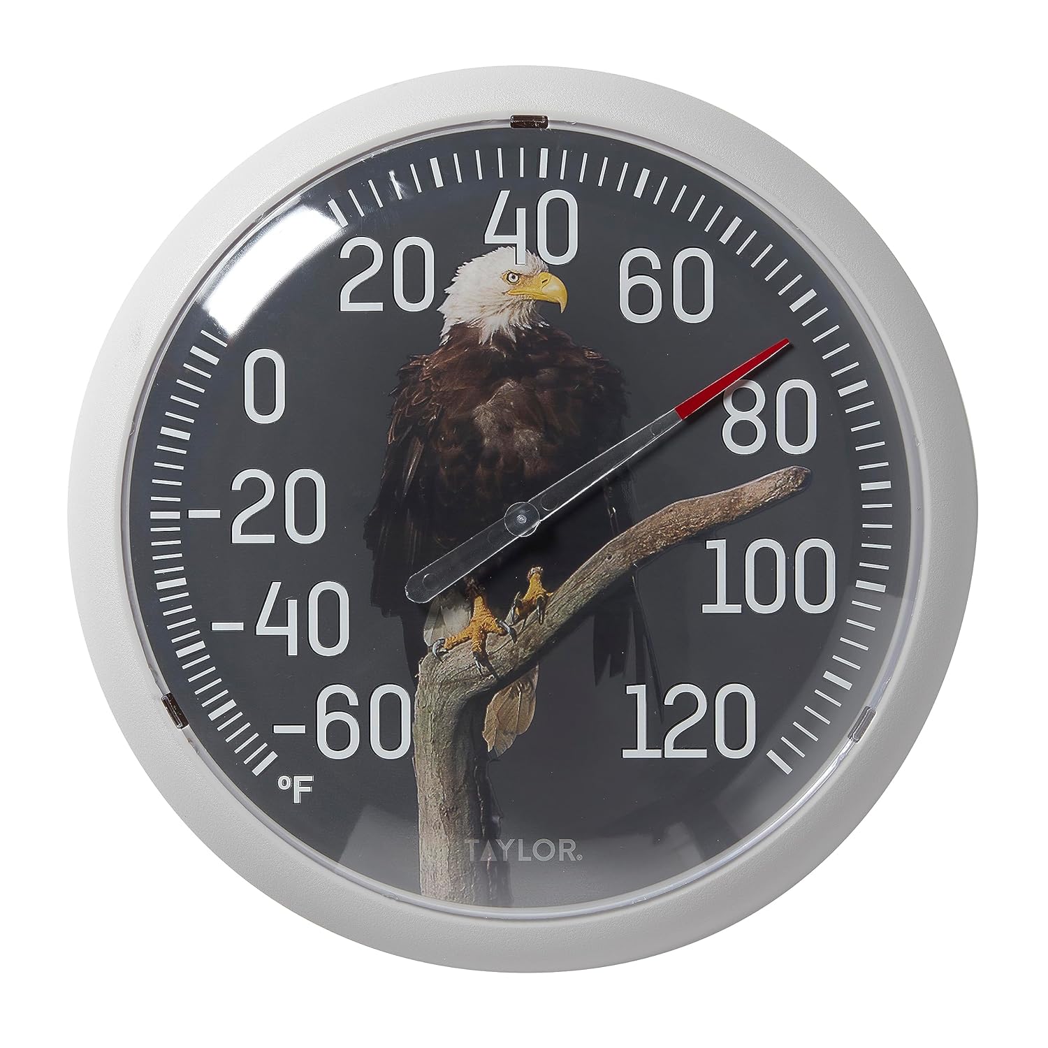 Taylor Nature Series Eagle Indoor Outdoor Dial Thermometer